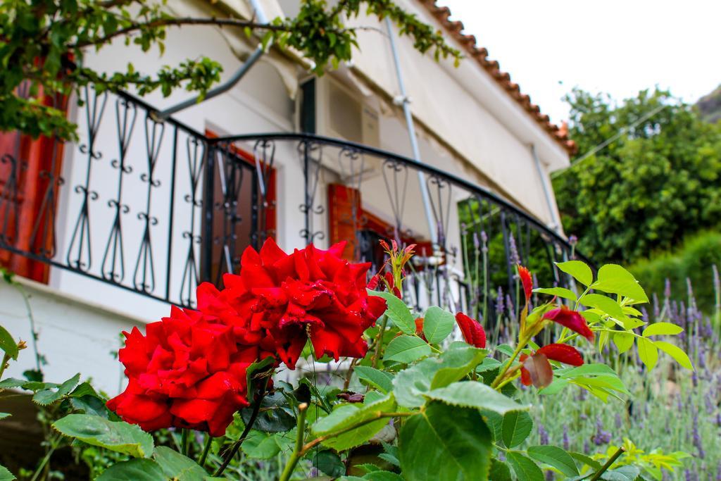 Guesthouse Lykourgos Mavrommátion Екстериор снимка